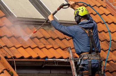 Démoussage et hydrofuge de toiture à Émeringes